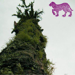 Dark Meat: Truce Opium [Album Cover]