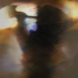 animal_collective_fall_be_kind animal_collective_fall_be_kind