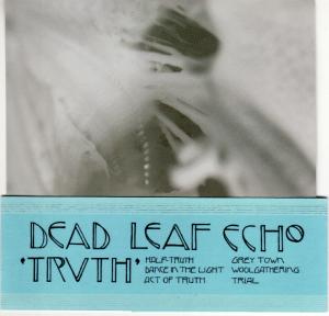 dead_leaf_echo-truth