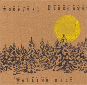 wailing_wall-hospital_blossoms