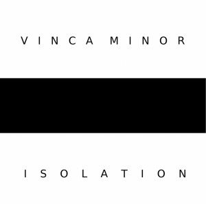 vinca-minor-isolation