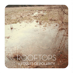 rooftops-forest-of-polarity