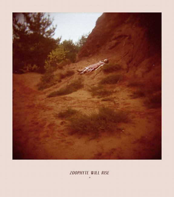 What Is Zoophyte? (Ãdland's Latest Tease) FensePost