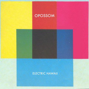 Electric Hawaii by Opossom
