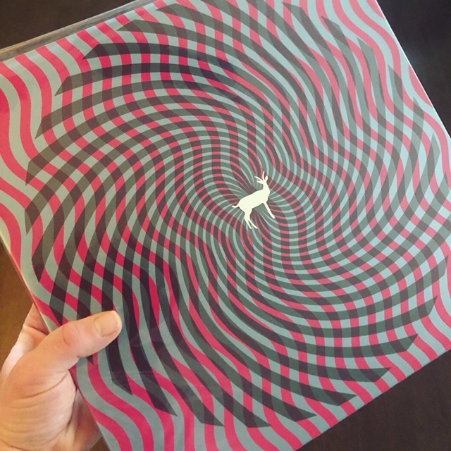 Deerhunter Cryptograms Vinyl
