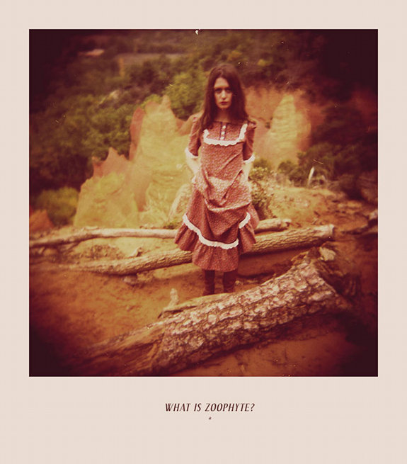 What Is Zoophyte? (Ãdland's Latest Tease) FensePost