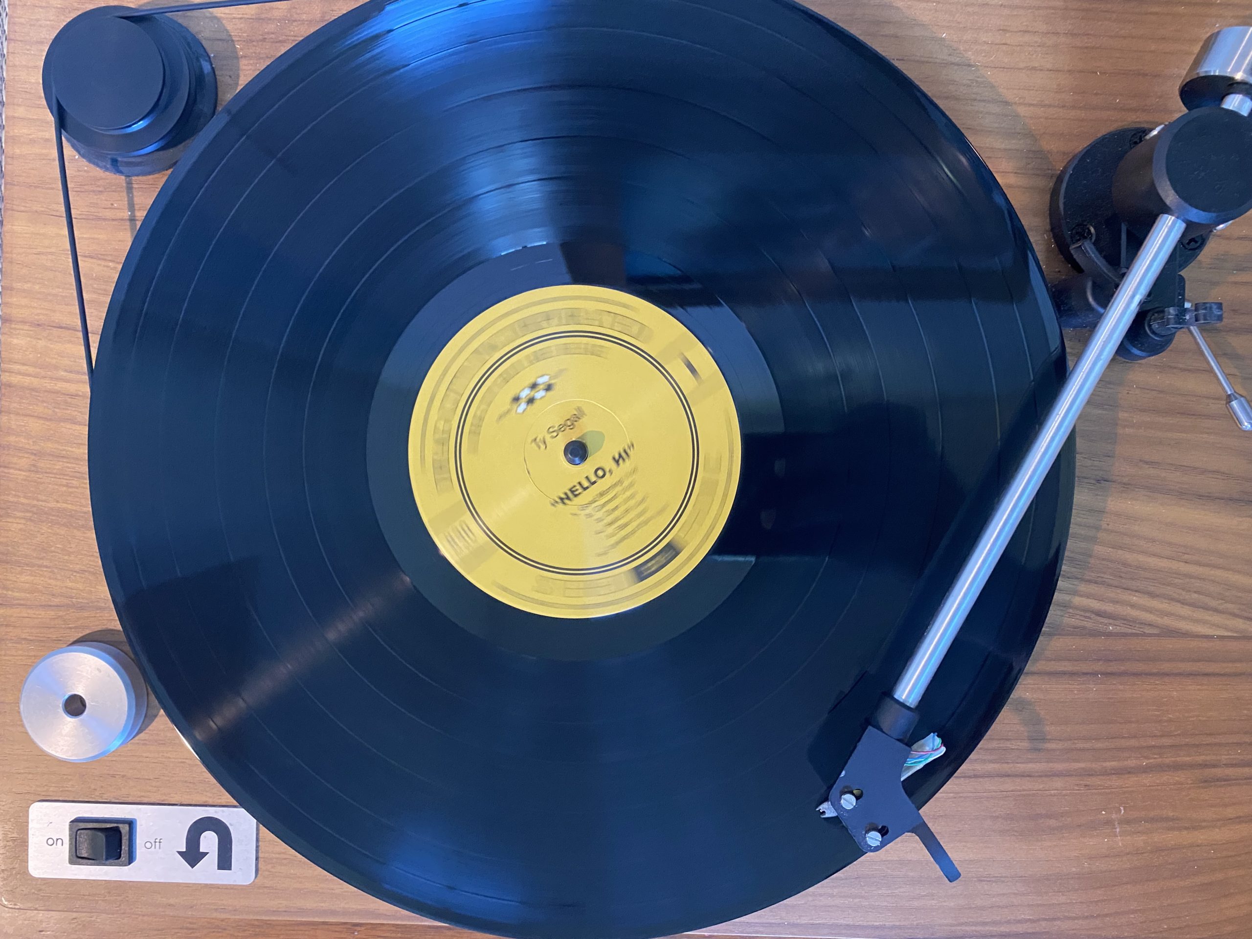 Ty Segall Hello Hi Vinyl